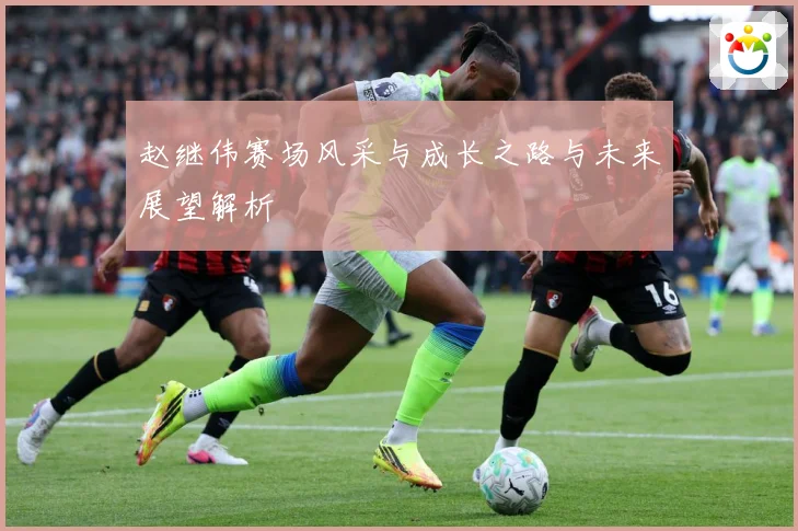 赵继伟赛场风采与成长之路与未来展望解析