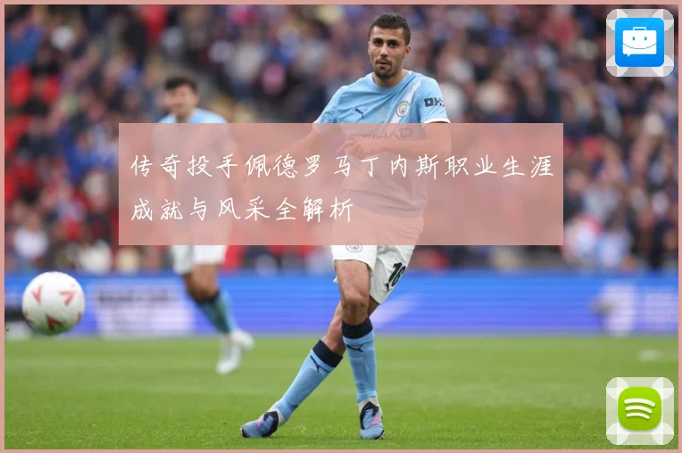 传奇投手佩德罗马丁内斯职业生涯成就与风采全解析