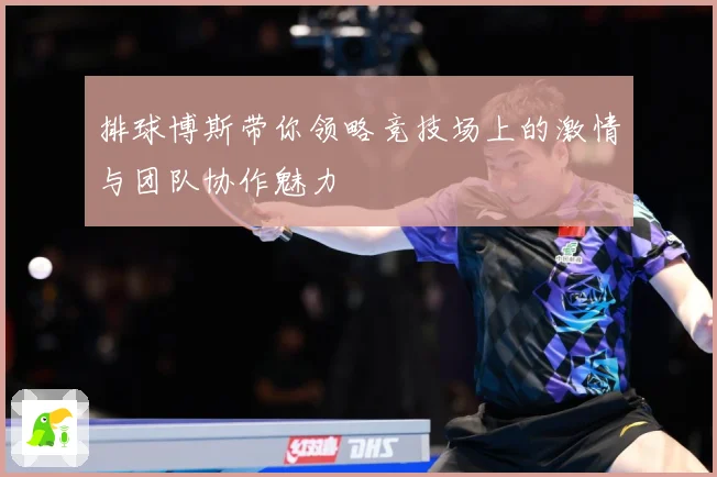 排球博斯带你领略竞技场上的激情与团队协作魅力